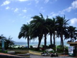 三芝淺水灣 棕櫚樹海洋度假屋景觀圖3