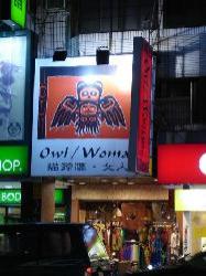 owl woman 貓頭鷹 女人簡介圖1