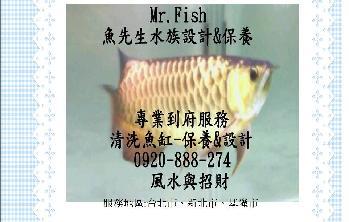 台北水族館-清洗魚缸簡介圖2