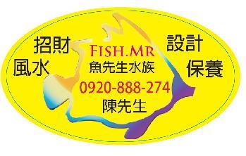 台北水族館-清洗魚缸簡介圖3